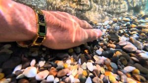 ▶️ Вода класс!!! Море Отдых!!! Крым Ялта /Олег Цайгер Жизнь на море / Крым