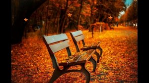 ФУТАЖ - ЗОЛОТАЯ ОСЕНЬ СКАМЕЙКА