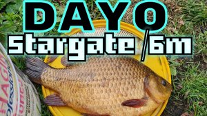 Dayo Stargate 6m