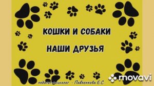 Кошки и Собаки - наши друзья / Видео-презентация для занятия / Старший дошкольный возраст