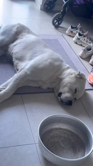 Пришла за ним ОХРАНА