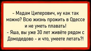 Как Галя в подвале мужиков принимала! Сборник свежих анекдотов! Юмор