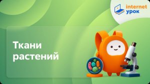 Биология 5 класс. Ткани растений