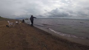 Рыбалка на закидушки. Поклёвка за поклёвкой.