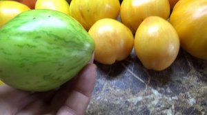 Томаты - новинки 2025 года. Томат Дынный ликер Софии Сааковой.