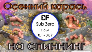 Осенний карась на спиннинг. Sub Zero (0.1 - 0.8 г)