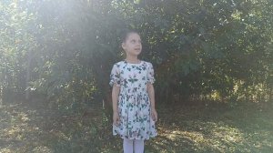 Топи, да болота