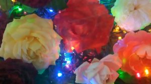 1000086417.mp4ВЕЧНАЯ ЛЮБОВЬ против смертной войны