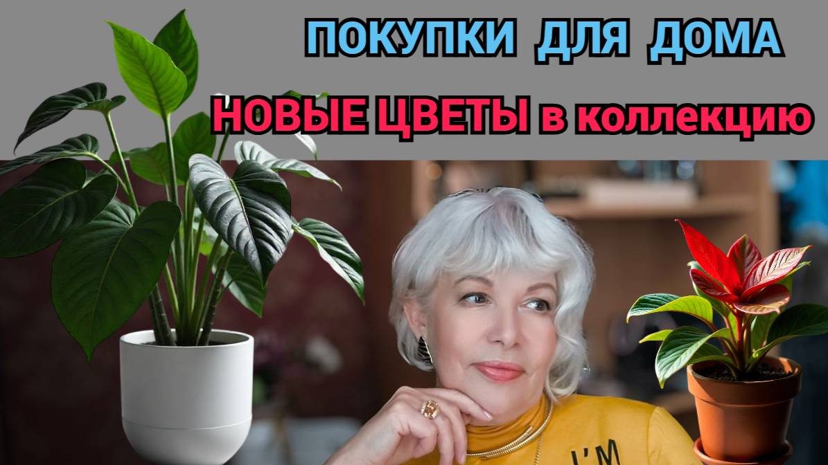 ✅Прошу совета/Покупки для дома/ Новые цветы из Индонезии смотреть онлайн