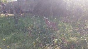 вот и школа началась!