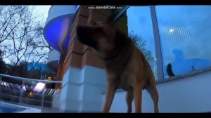 ▶️ ЖИЗНЬ В ЯЛТЕ. МИНУСЫ И ПЛЮСЫ КУРОРТА.КУДА СХОДИТЬ .ЧТО ПОСМОТРЕТЬ.КРЫМ /Олег Цайгер