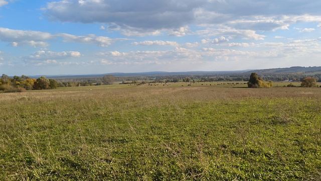 Поехал я значит за грибами часть 3 смотреть онлайн