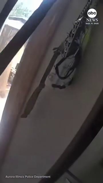 В Иллинойсе полицейские приехали на вызов из-за пожарной тревоги и нашли в доме собаку