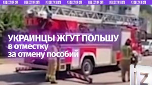 Украинцы жгут польские дома из-за отмены пособий: «Творят такую дичь! Кошмар»