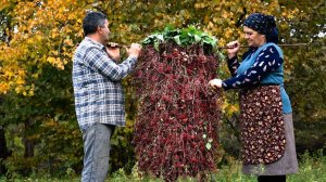 Сезон Барбариса - Сбор И Заготовка На Зиму 🍒