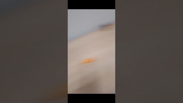 Маша и медведь первая встреча серия 1167 смотреть онлайн