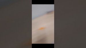 Маша и медведь первая встреча серия 1167