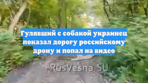Гулявший с собакой украинец показал дорогу российскому дрону и попал на видео