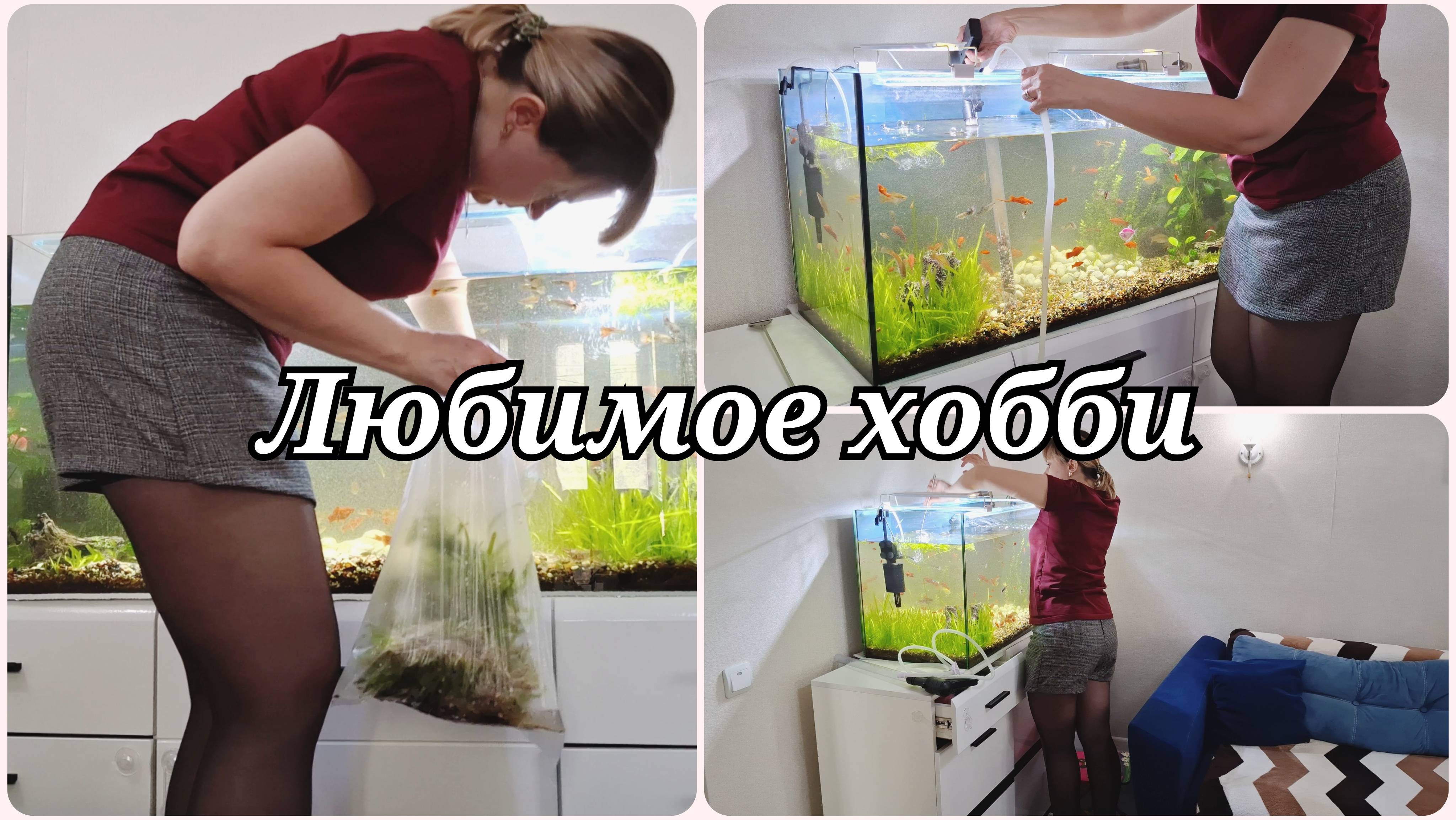 ДОМАШНИЙ АКВАРИУМ 💧 ЧТО НОВОГО 💧 УХОД ЗА АКВАРИУМОМ смотреть онлайн