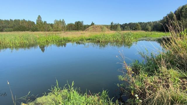 Река Уводь. ч.1. Сентябрь 2025 смотреть онлайн