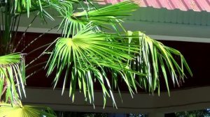 ...Отпуск в санатории МО Лазурный берег