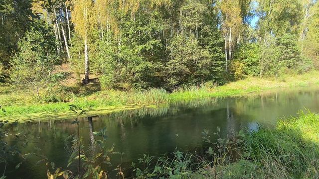 Река Уводь. ч.2. Сентябрь 2025 смотреть онлайн
