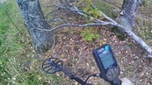 Металлокоп ⚙ Много металла по краю поля