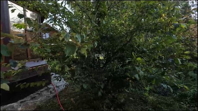 1715234, ДНТ Весна смотреть онлайн