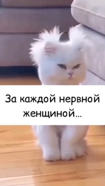 #прикол#юмор#мем#смешно#Luneza#музыка#музыкаонлайн смотреть онлайн