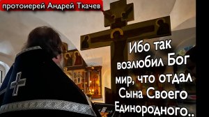Чтобы смотрели на Него и исцелялись. Протоиерей Андрей Ткачёв