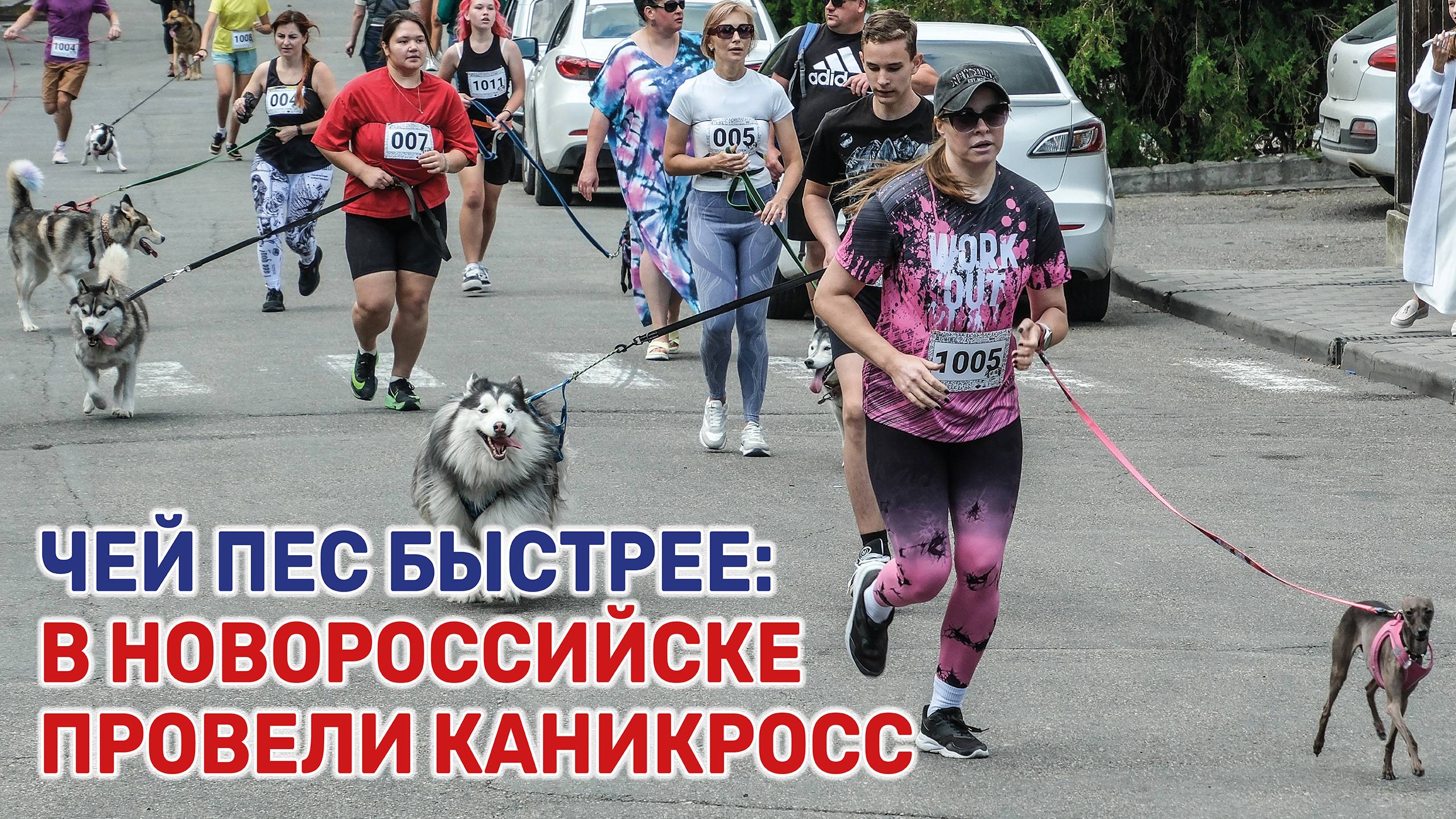 В необычном забеги приняли участие «Кубанские новости» смотреть онлайн