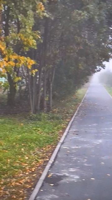 туманное утро в городе - тишина