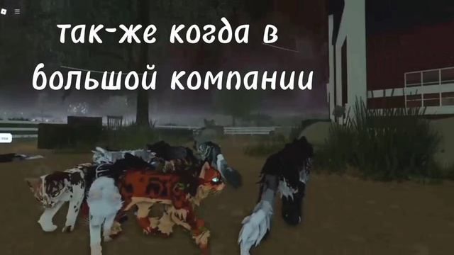 Выкладываю спустя сто лет/спасибо учасникам!/ 𝚠𝚌𝚞𝚎