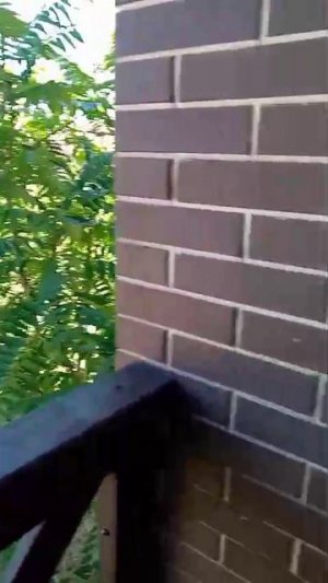 92f4fbb1-7e3a-4032-954e-d78abcf1bc9f