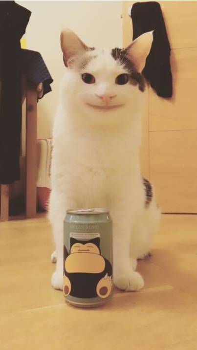 Без смысло(