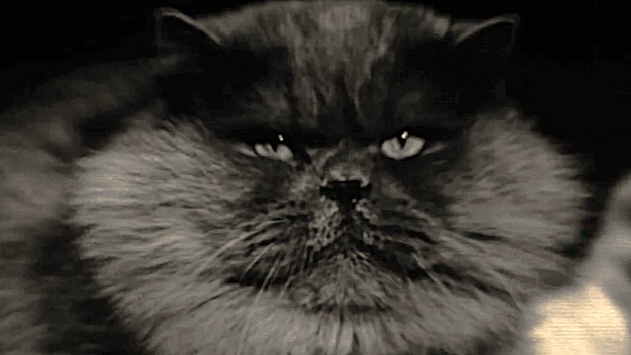 Cronos The New Dawn. Прохождение #21 AVO (ru озвучка) Больница смотреть онлайн