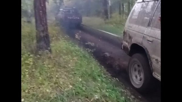 Большие Коты 2025