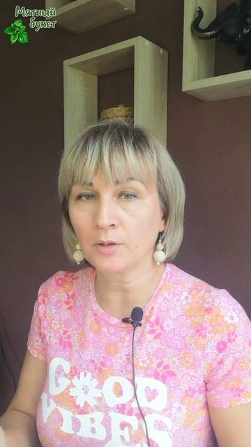 О перечне вымышленных и неподтвержденных сортов мят