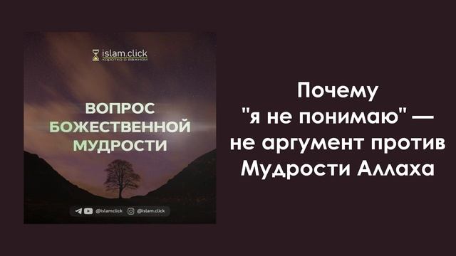 Почему "я не понимаю" - не аргумент против Мудрости Аллаха? Абу Яхья Крымский смотреть онлайн