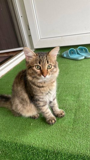 Какая прелесть… Два ребенка!...!😆