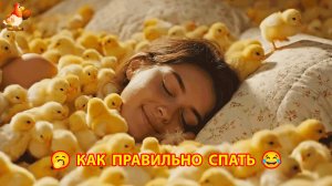 Как правильно спать любителям животных и птиц 🥱😂😹