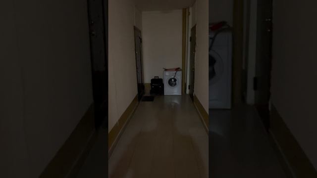 IMG_3648 смотреть онлайн