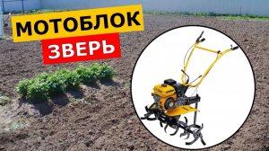 Мотоблок Denzel DPT-170S