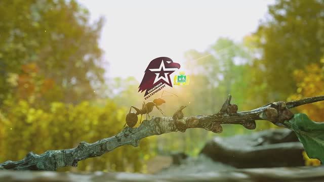 Турслёт "Осень Уральского Следопыта". 20 сентября 2025 г. Екатеринбург. Каменные палатки. смотреть онлайн