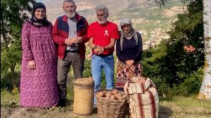 День драника в Дагестане: первый урожай белорусского картофеля собрали в горах Кавказа