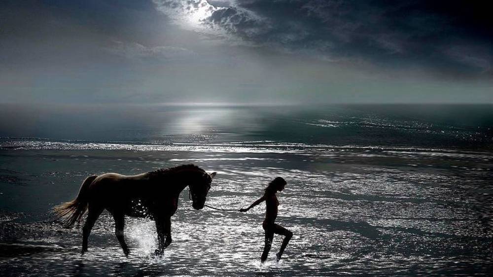 Всемирный день благодарности смотреть онлайн