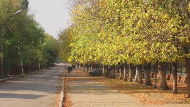 2025 08 Артиллерийская