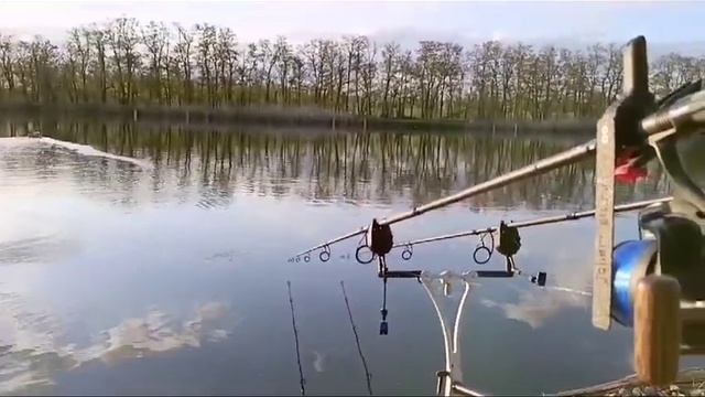 Прищепка для завоза.