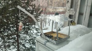 Кормушка, старый вариант