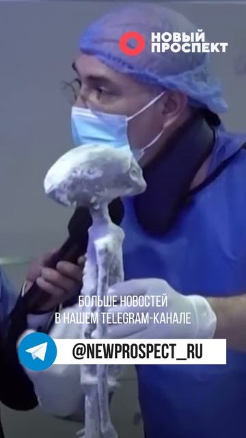 Анна Полина заявила, что недавно контактировала с российскими властями по вопросу НЛО смотреть онлайн